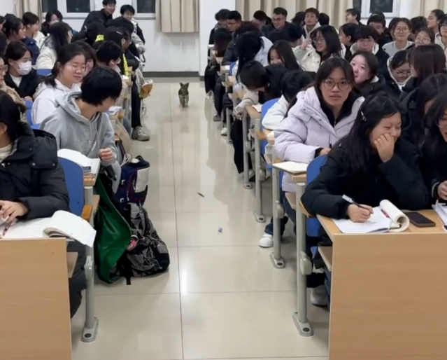 依托心思健康教育的科学方法增强思维政治教育的感染力与实效性 依托心思健康教育的科学方法增强思维政治教育的感染力与实效性